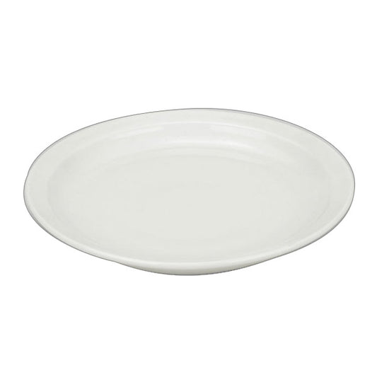 10" Orion Wide Rimed Plate