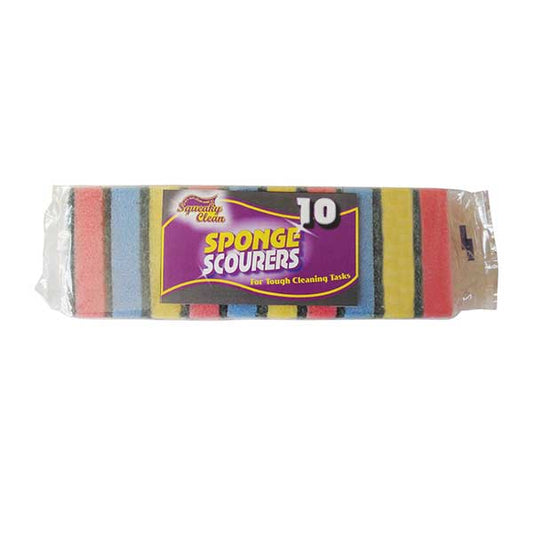 15x10cm Sponge Scourers