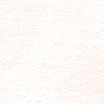 33cm 2Ply White Serviettes Per 100