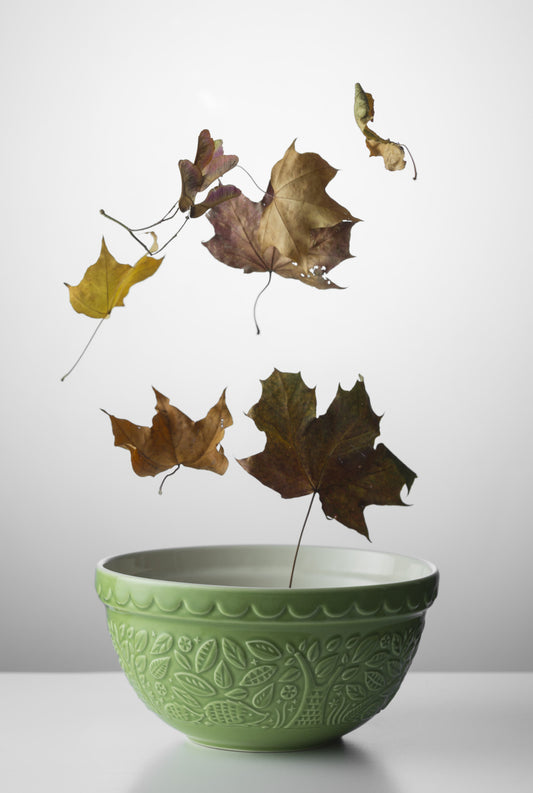 Mason Cash Green Hedgehog Mixing Bowl 21cm