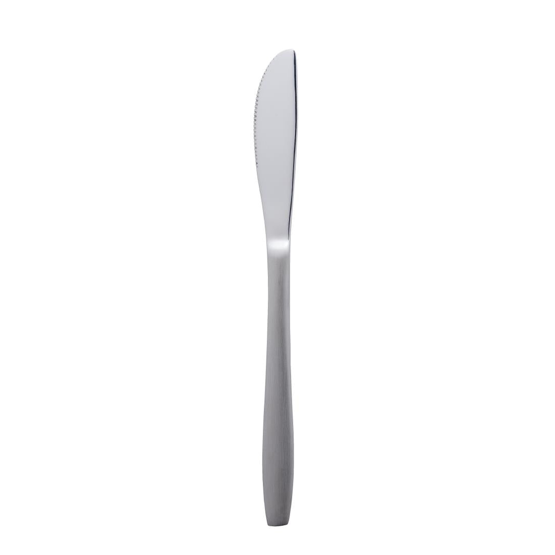 Amefa Amsterdam Table Knives